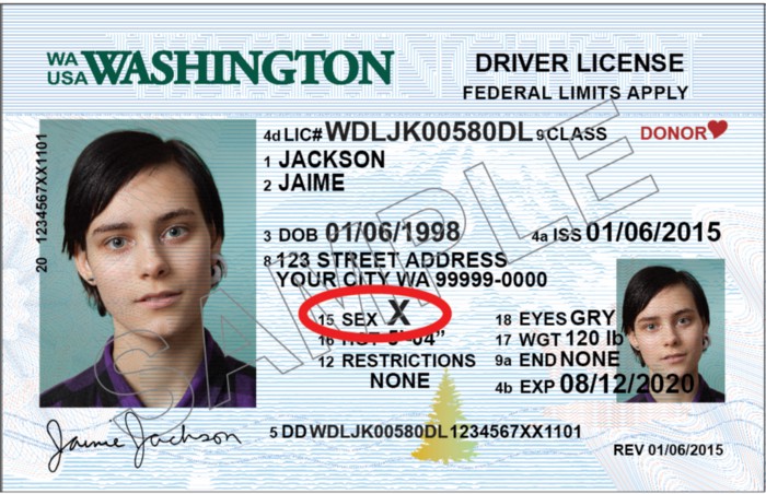 Washington to add non-binary X option to driving licenses
