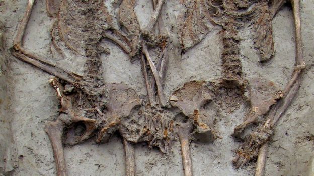 Two ancient Roman skeletons have been holding hands for 1,500 years, and they're both men