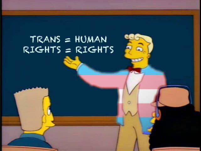 Irish Simpsons Fans have started their own political party – and they're pro-trans rights