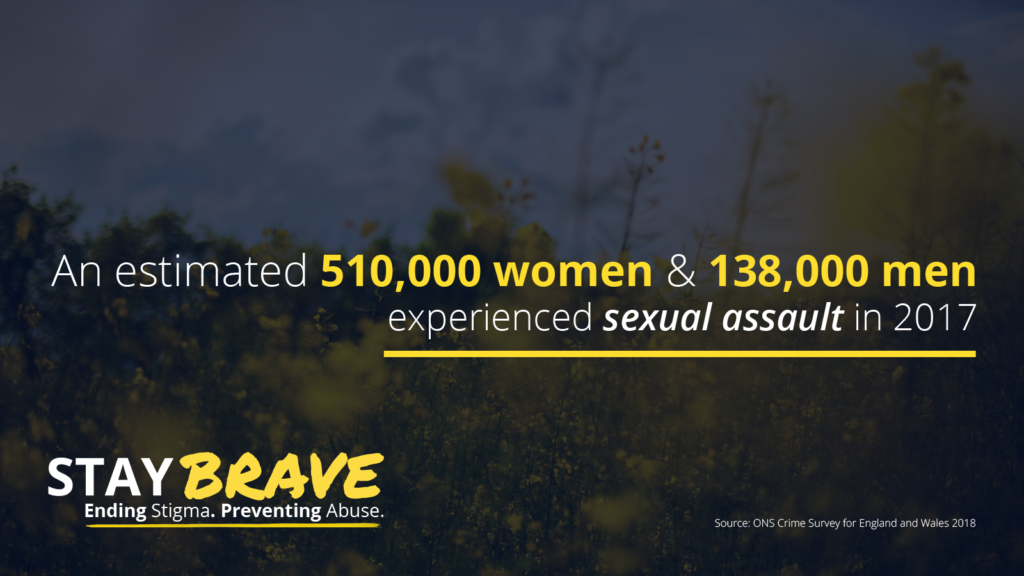 Source: ONS Crime Survey for England and Wales 2018. (Stay Brave)