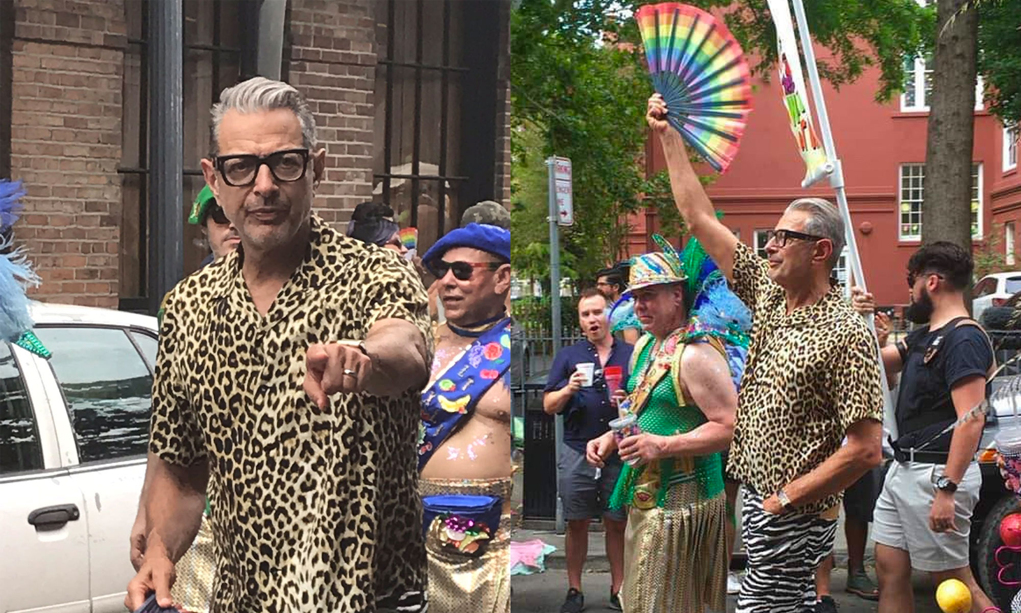 Oh, this? It's just a video of Jeff Goldblum dancing on a roof to Normani at a big gay summer party