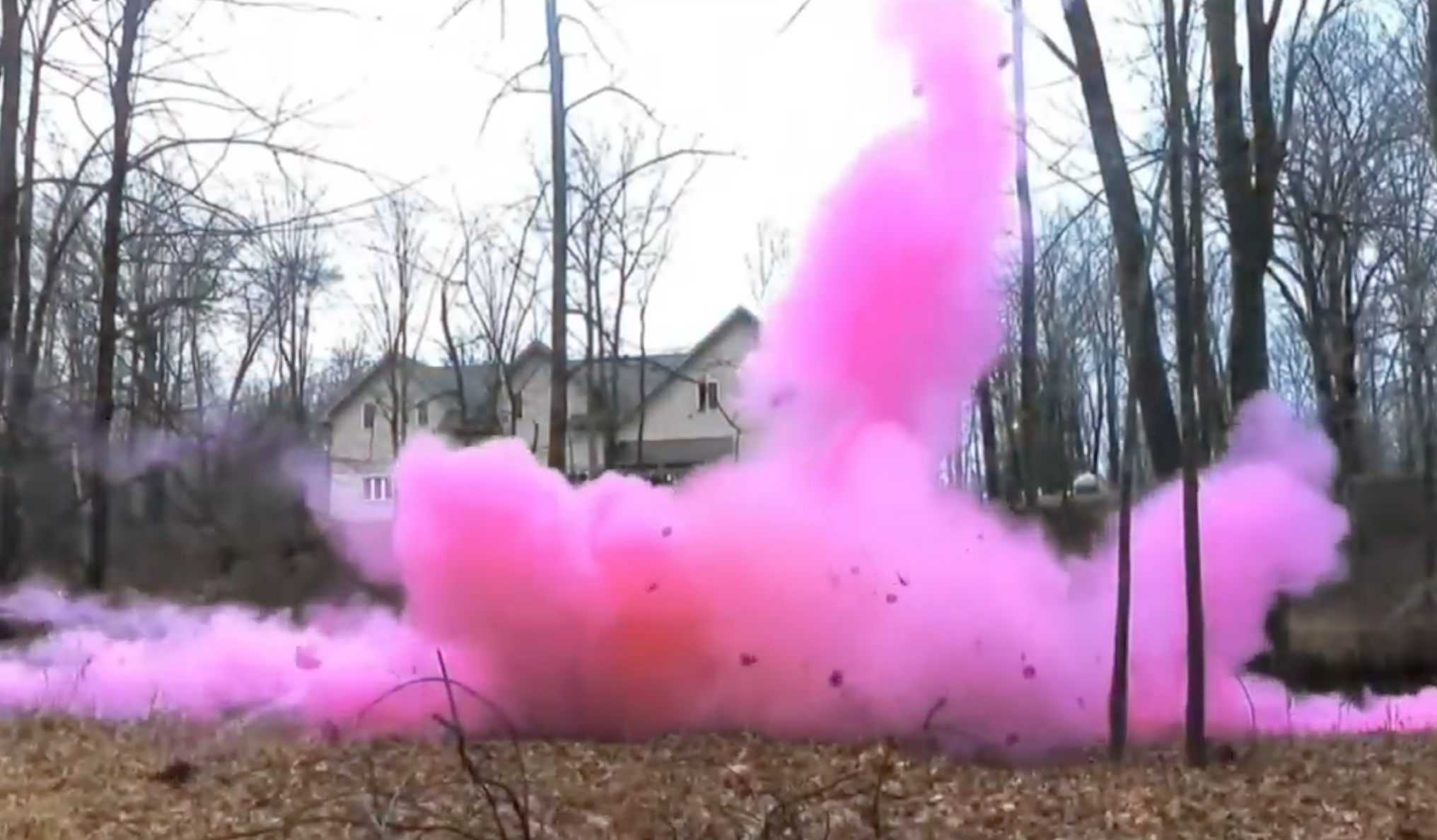 Second gender reveal explosion in two days attracts police and fire departments and straight people really need to stop