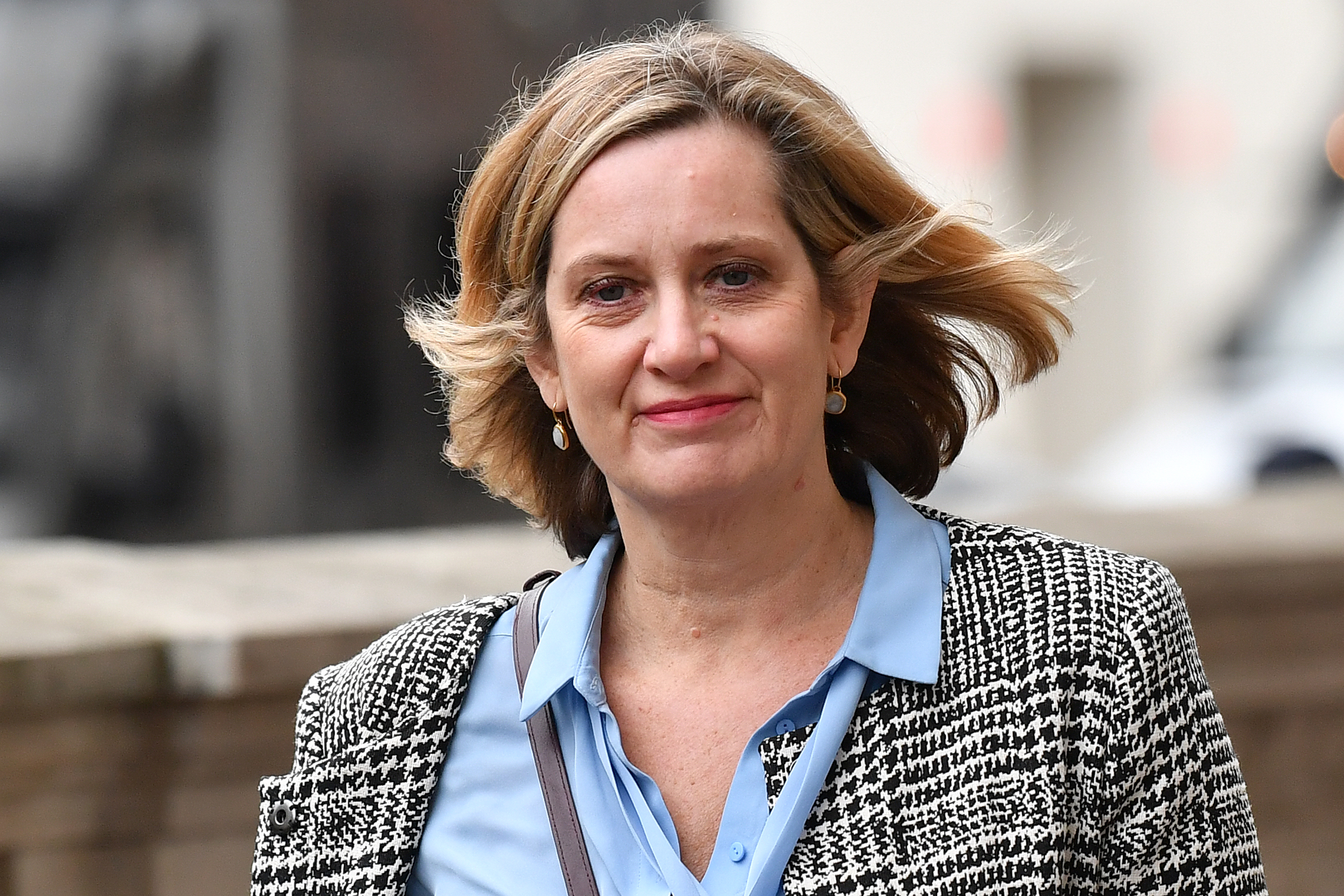 Former equalities minister Amber Rudd is not standing in next general election after making peace with Boris Johnson