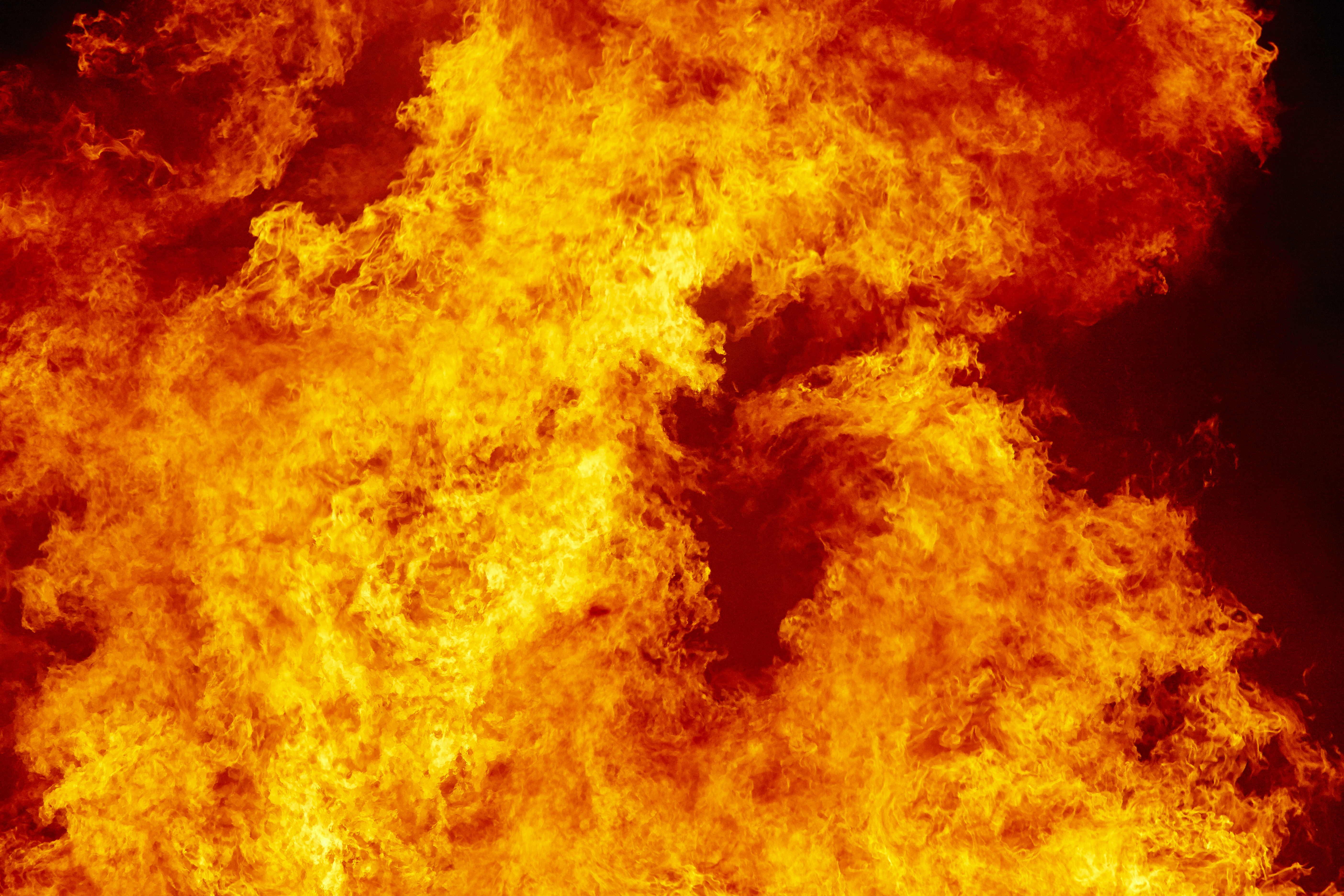 Woman killed in explosion at gender reveal party