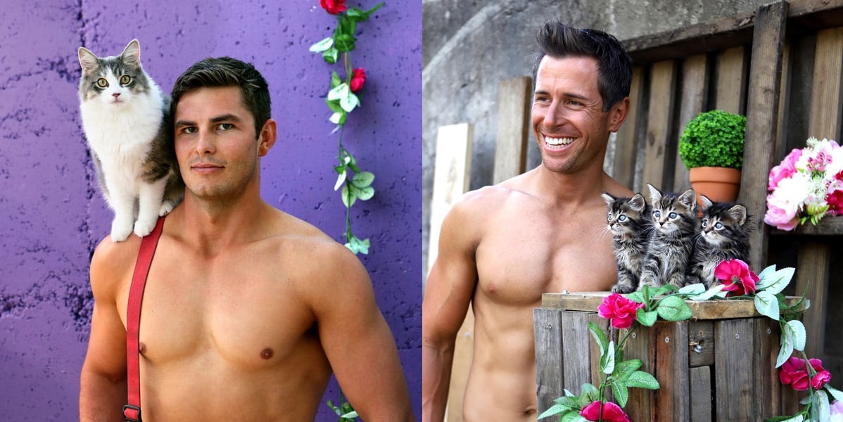 These firefighters posing with rescue cats for a steamy charity calendar is the most ambitious crossover event in history