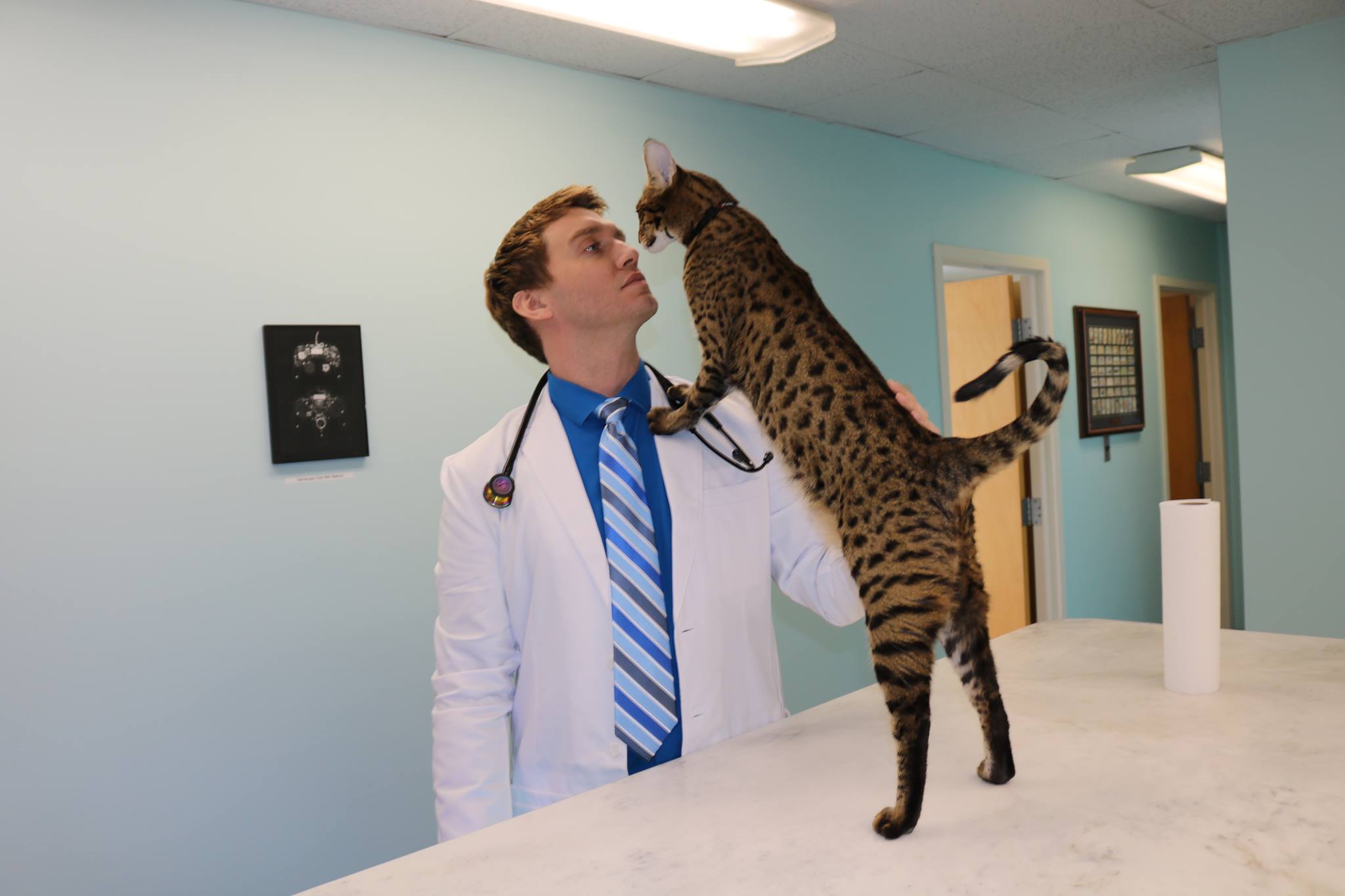 This cat-loving doctor lost everything when a massage chair burned his house down. So he opened a queer-inclusive medical clinic