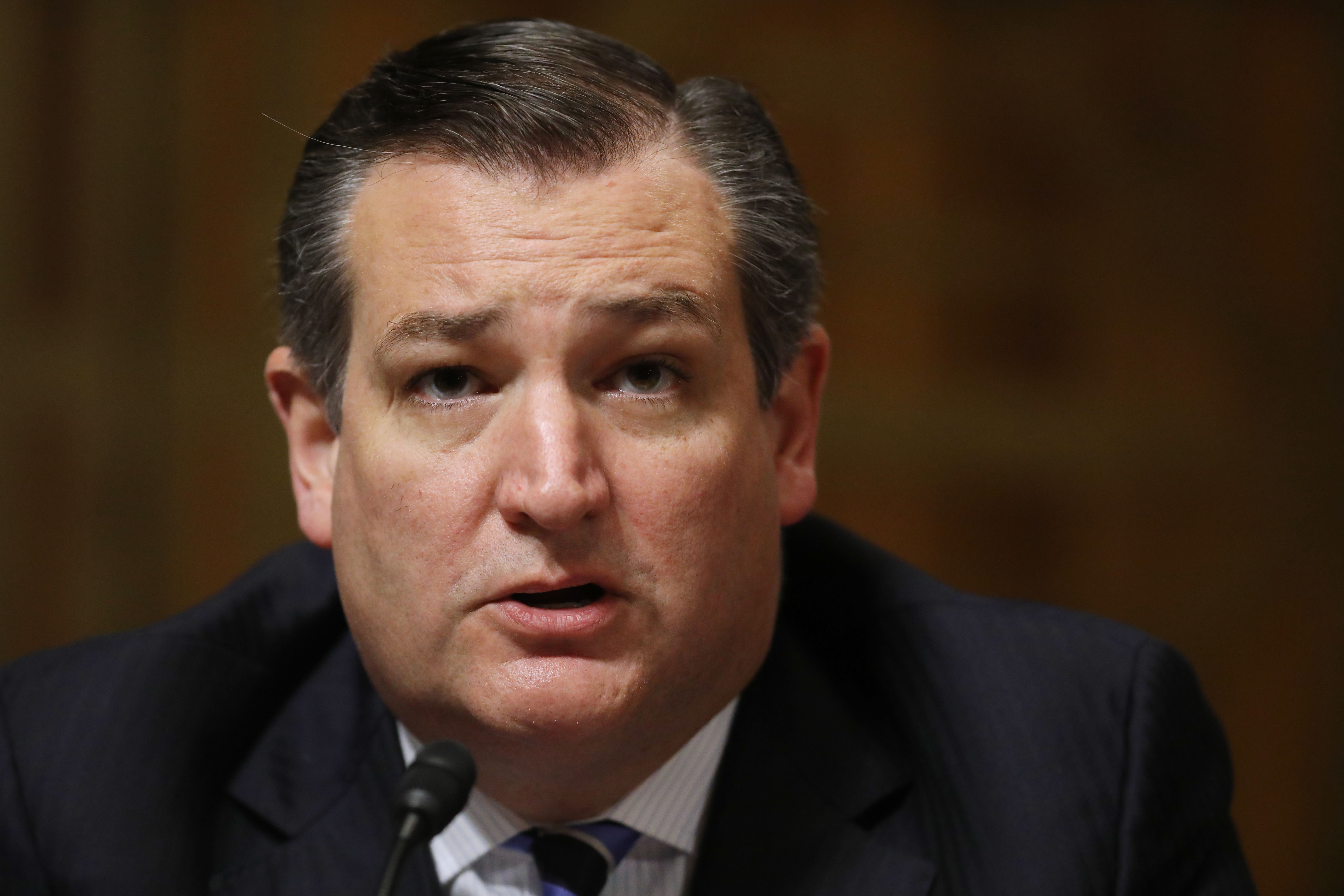 Ted Cruz whines Biden's student loan forgiveness is funding 'queer pet literature' degrees