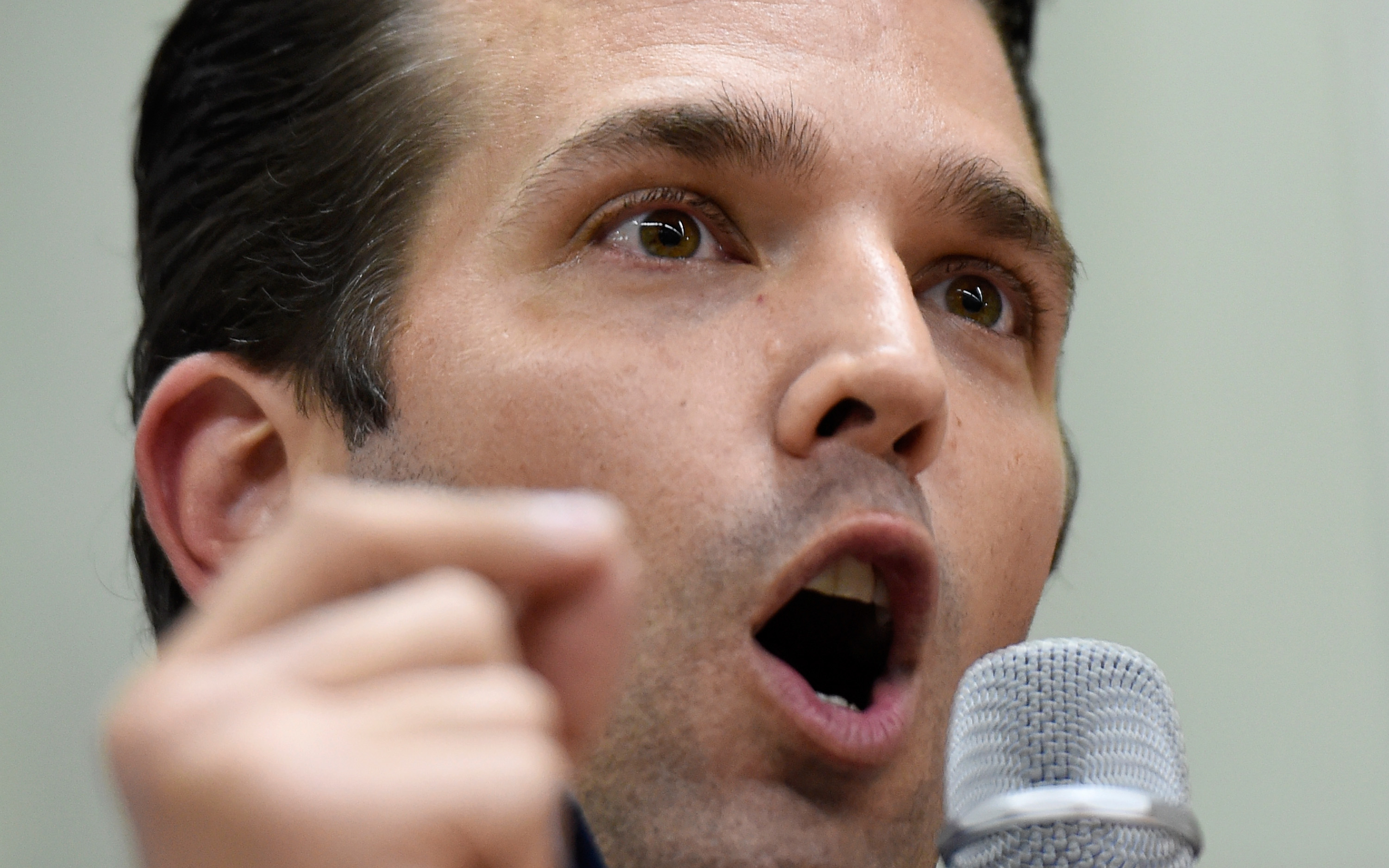 Donald Trump Jr sinks to new lows by urging his followers to ruin Thanksgiving dinner for 'liberals'