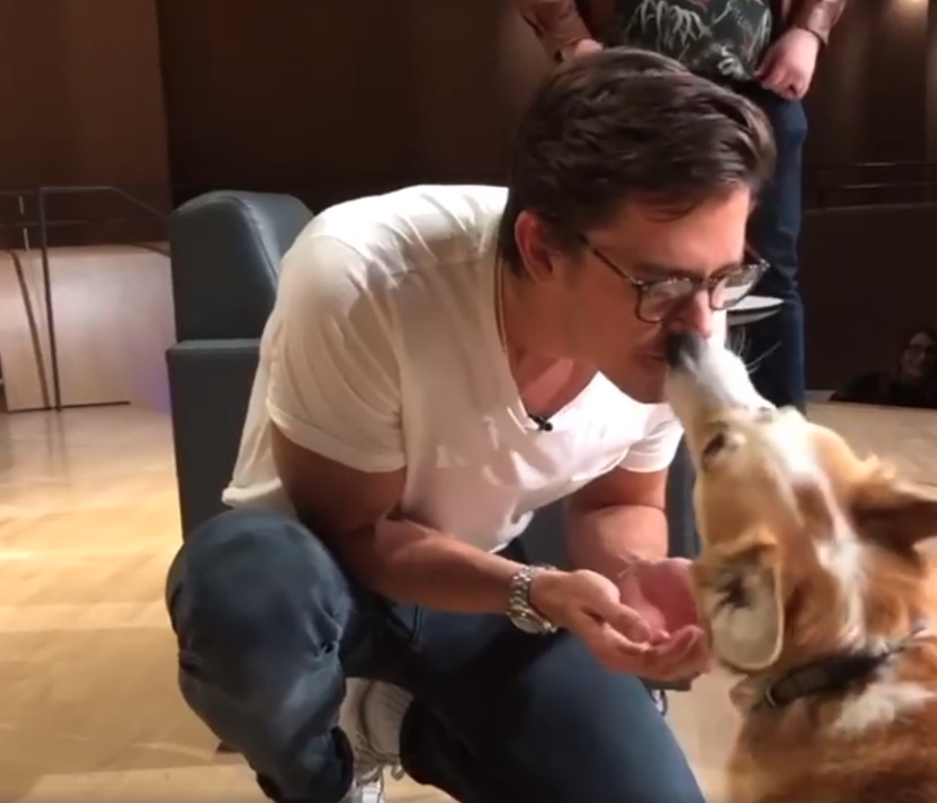 Queer Eye's Antoni Porowski loved this corgi so much he fed it from his own mouth