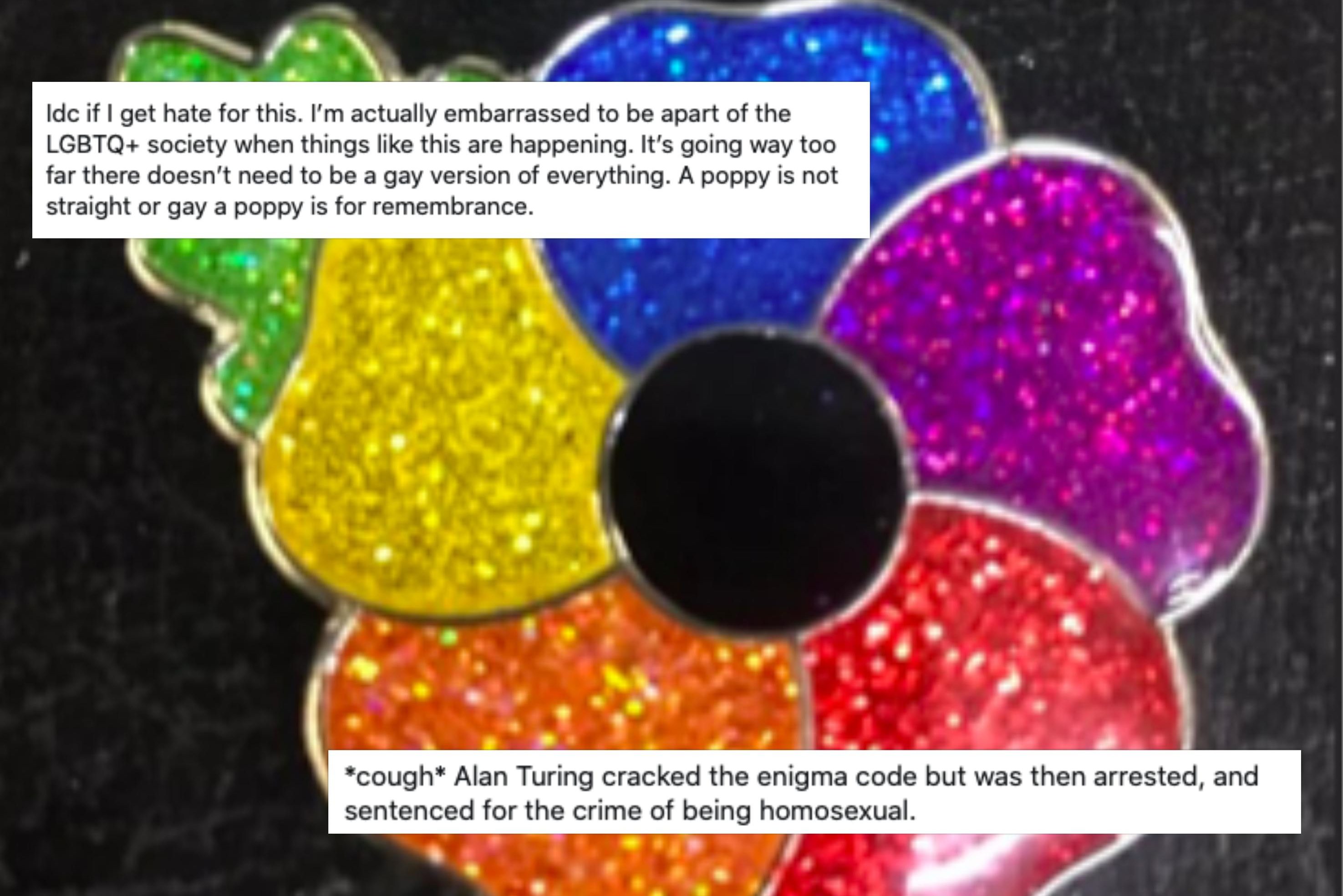 This guy just made the most perfect point about the whole ‘gay poppy debate’
