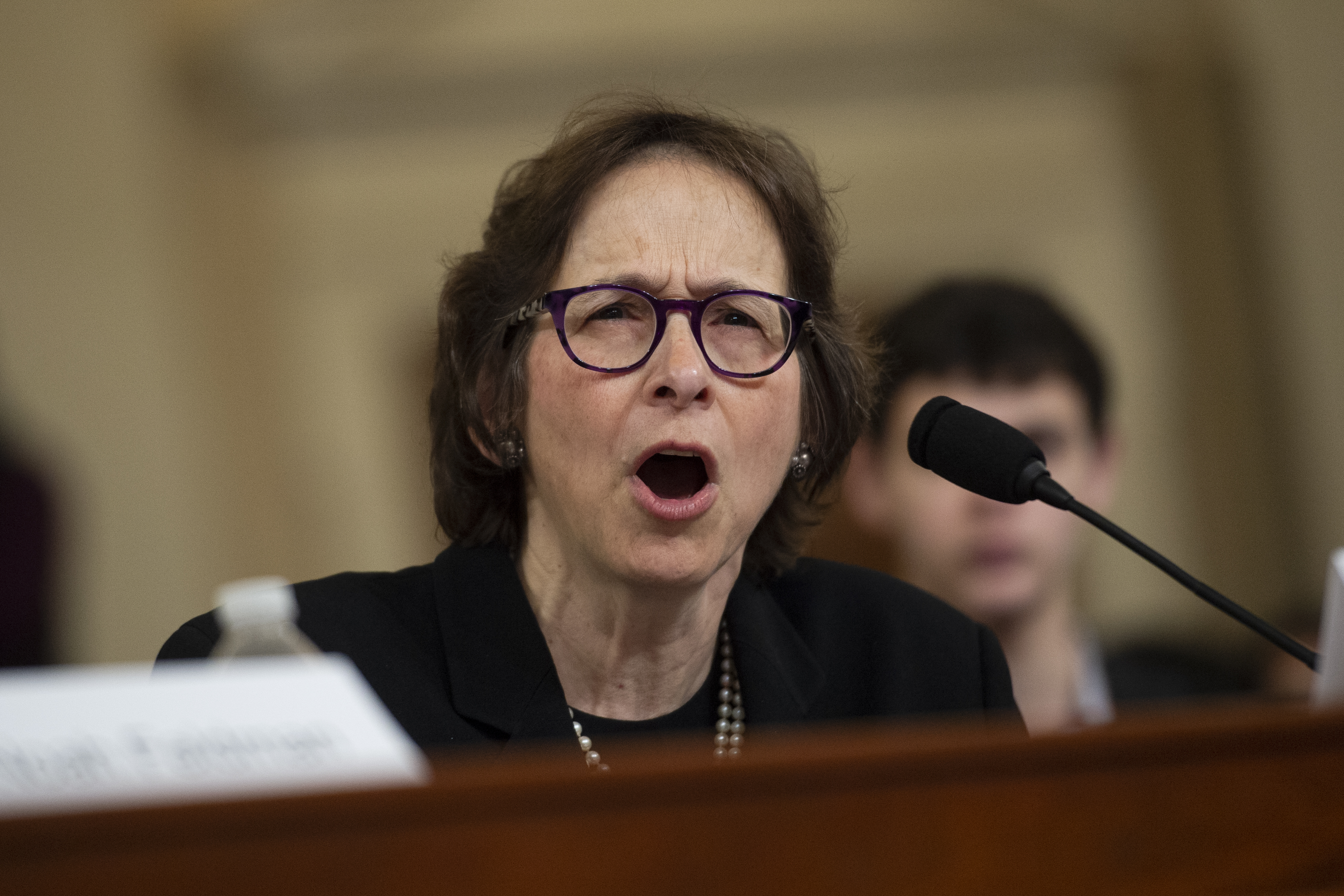 This self-described 'snarky bisexual' lawyer stole the show at Trump's impeachment hearing with her scathing put-downs