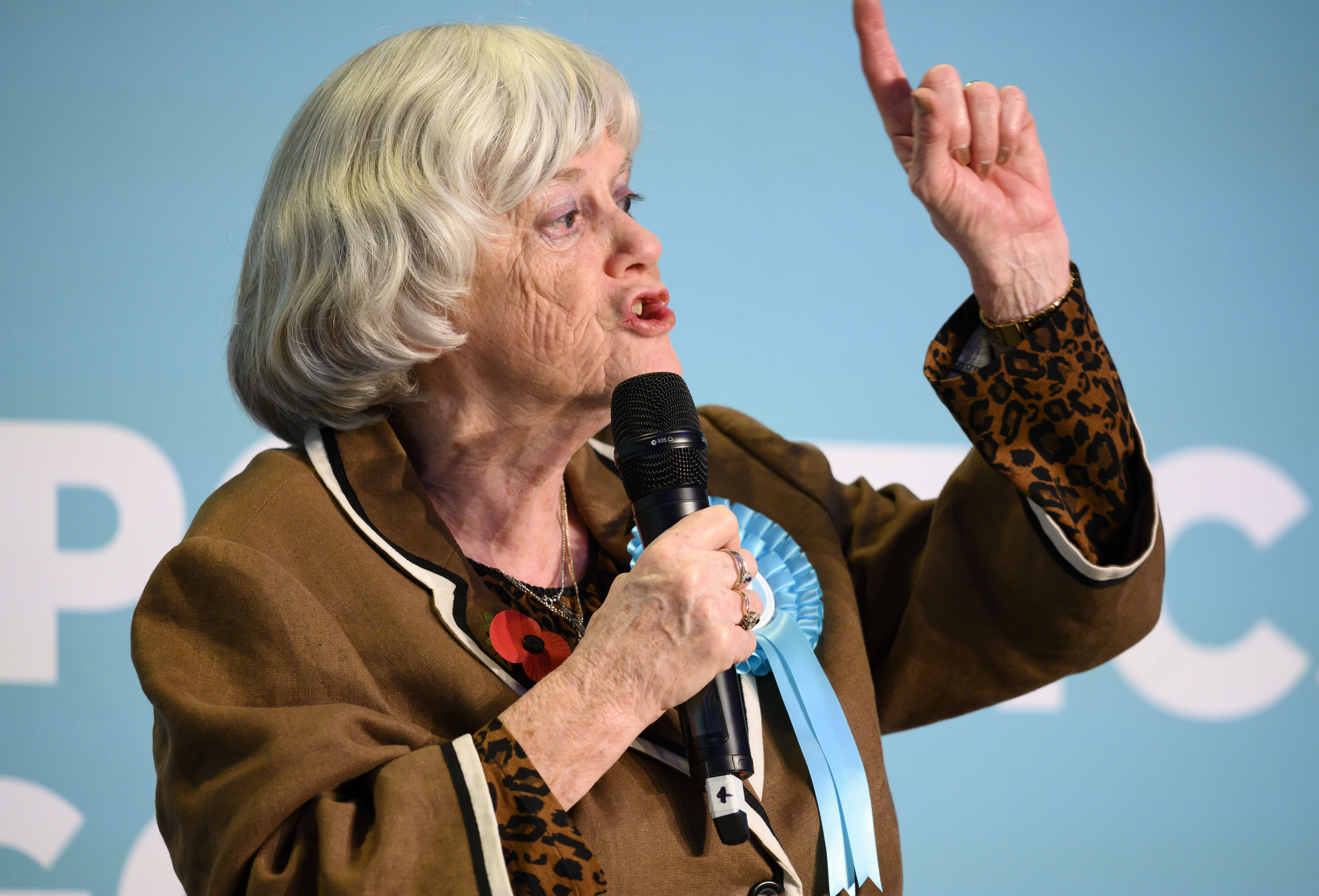 Brexit Party's Ann Widdecombe, who thinks gay people can be cured, also thinks it's OK to use racist slurs