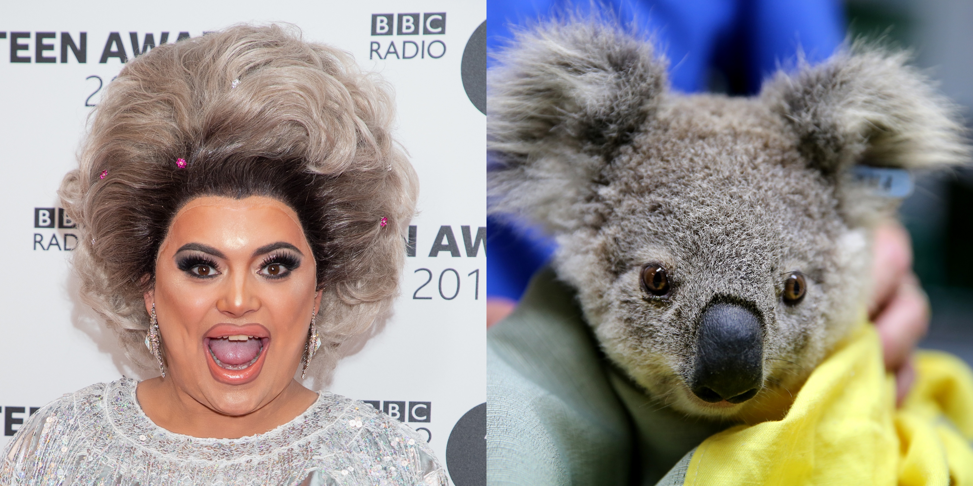 London gay bar throws mammoth 12 hour drag-a-thon to rise vital funds for devastating Australia bushfires