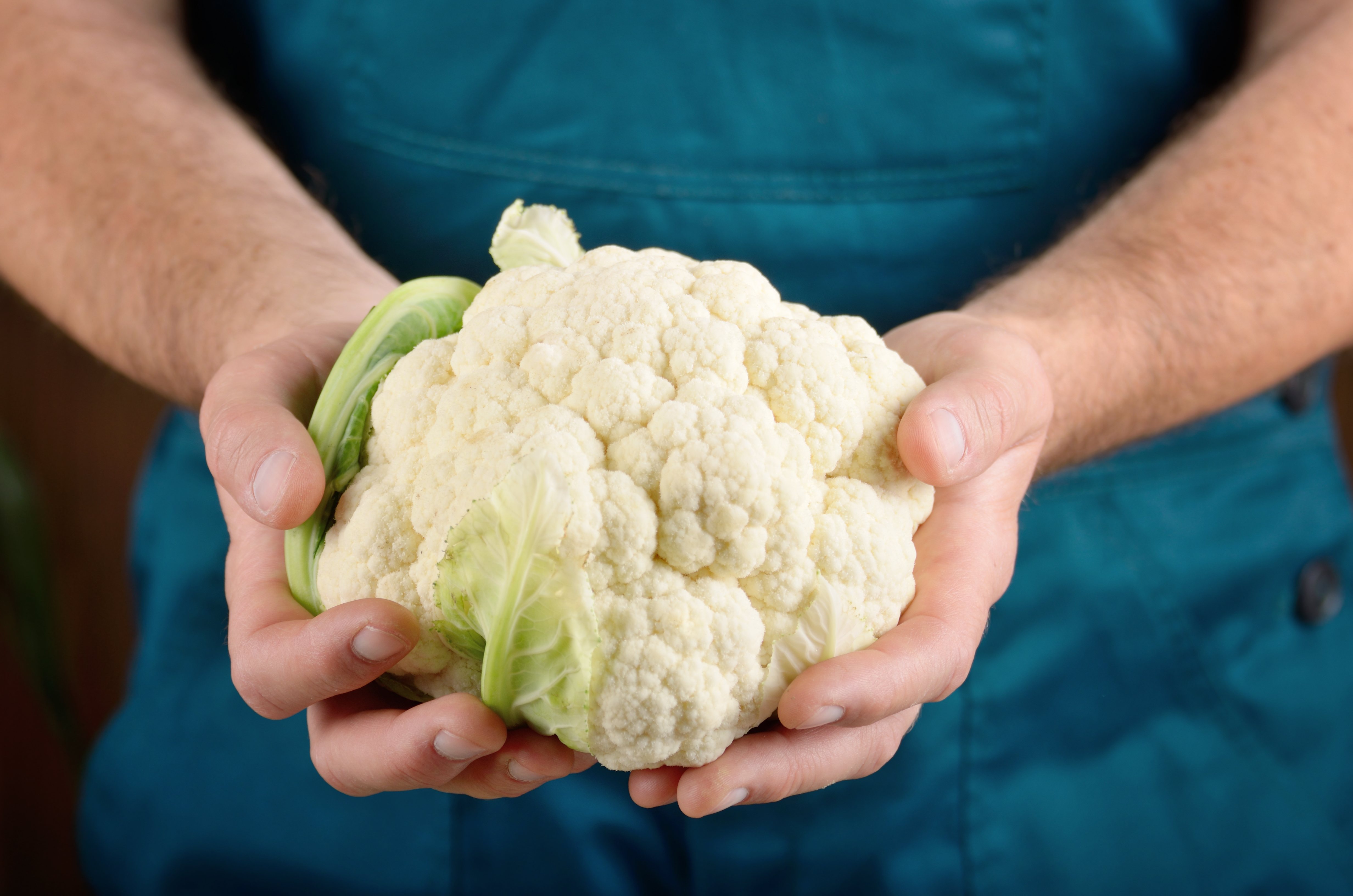 This bizarre story about a straight man and a cauliflower will make you feel better about your romantic life