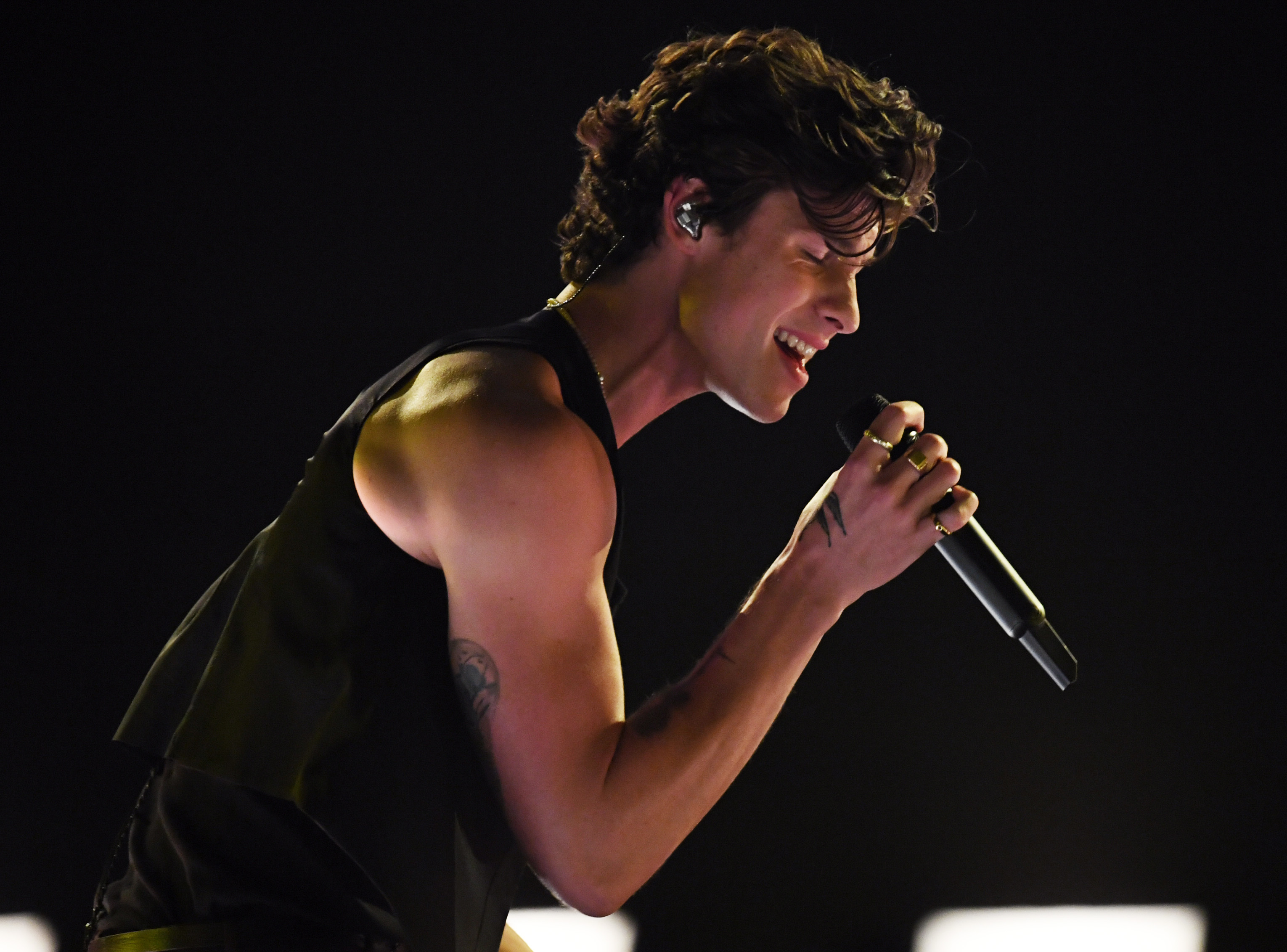Shawn Mendes tops list of most-searched names on gay porn site in 2019