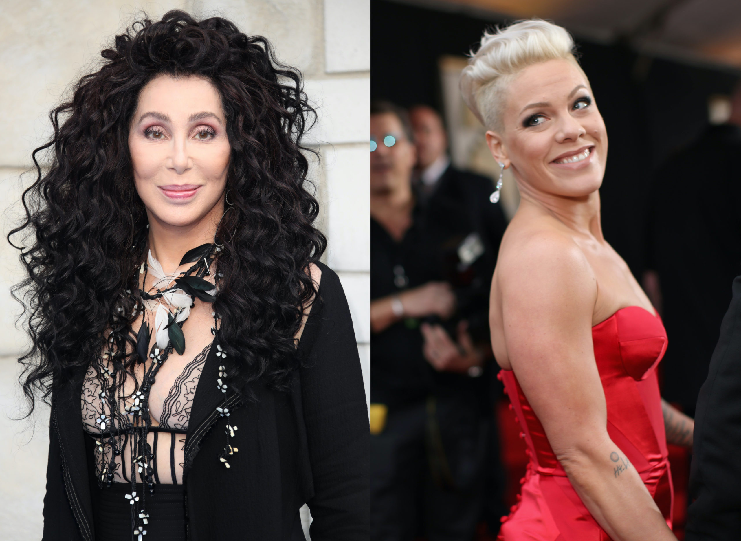 Cher wants Pink to rewrite one of her classic songs as a scathing protest against Donald Trump