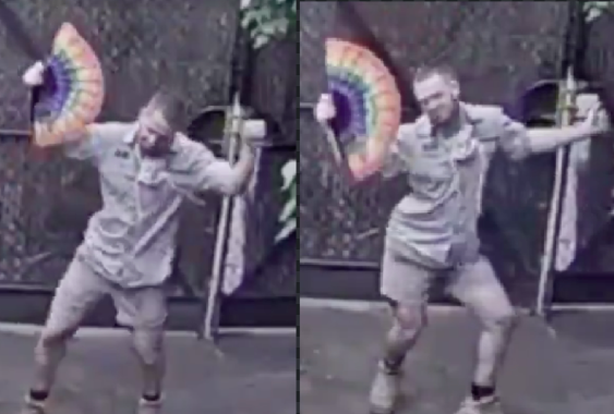 Zookeeper’s fierce dance in a giraffe enclosure wins him legions of fans under coronavirus lockdown