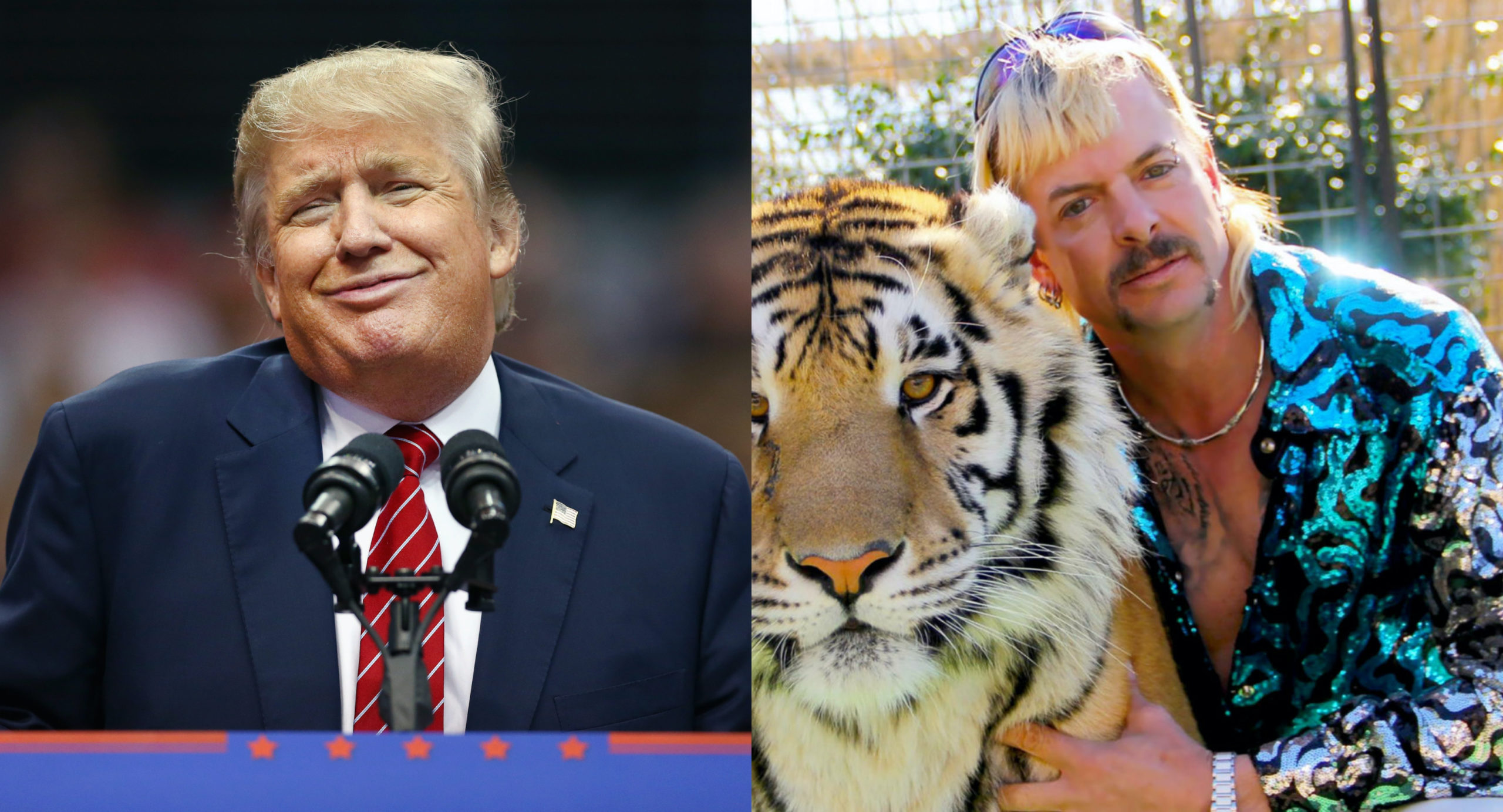 Joe Exotic's legal team to hand deliver plea for presidential pardon from fellow reality star Donald Trump