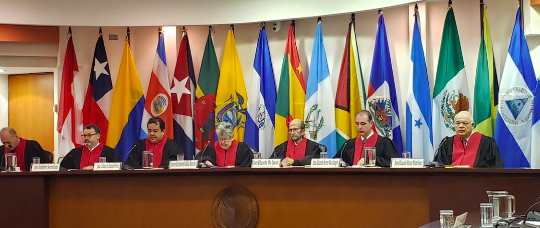 Peru is ‘responsible’ for rape and torture of trans woman while in custody, top human rights court rules