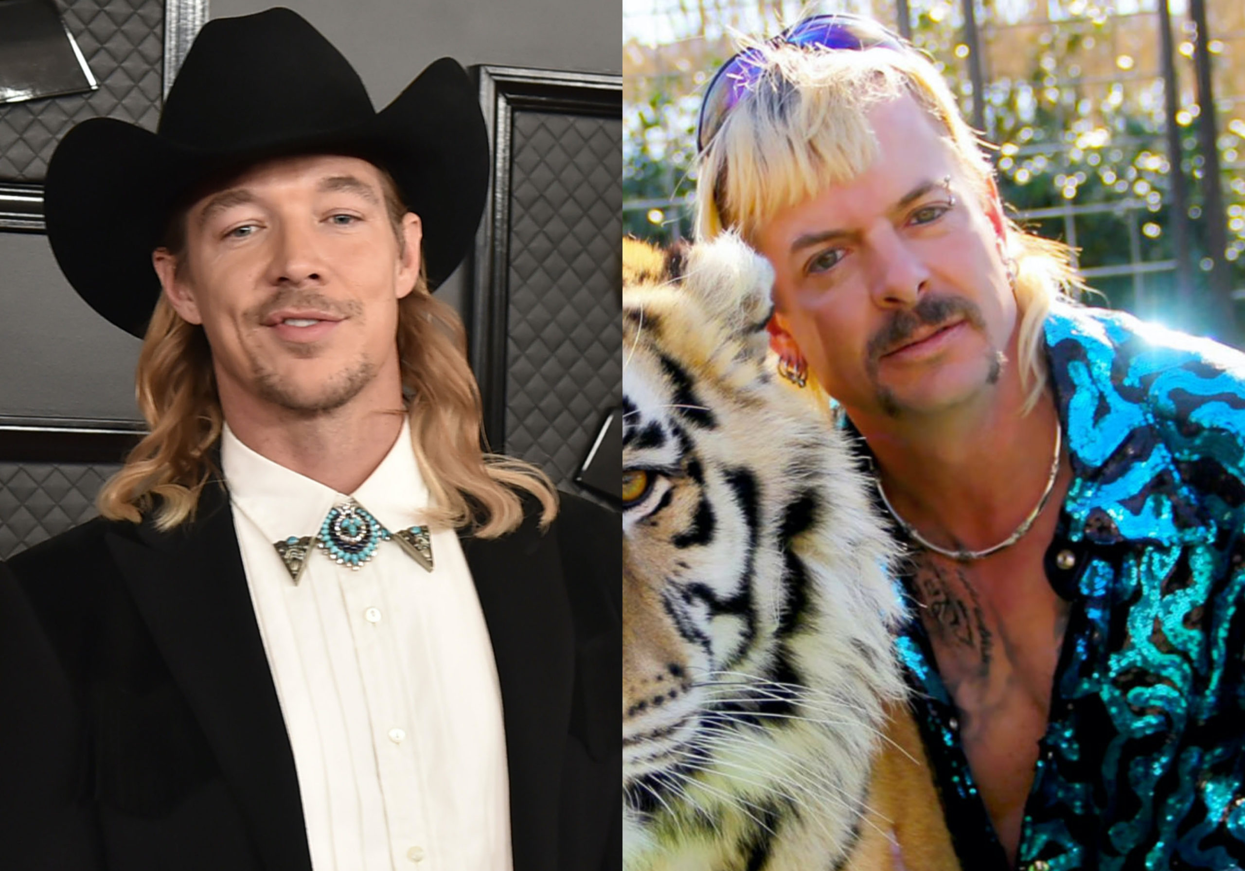 Diplo cast his own Tiger King movie starring Amanda Seyfried and Prince Charles, and we would like to see it