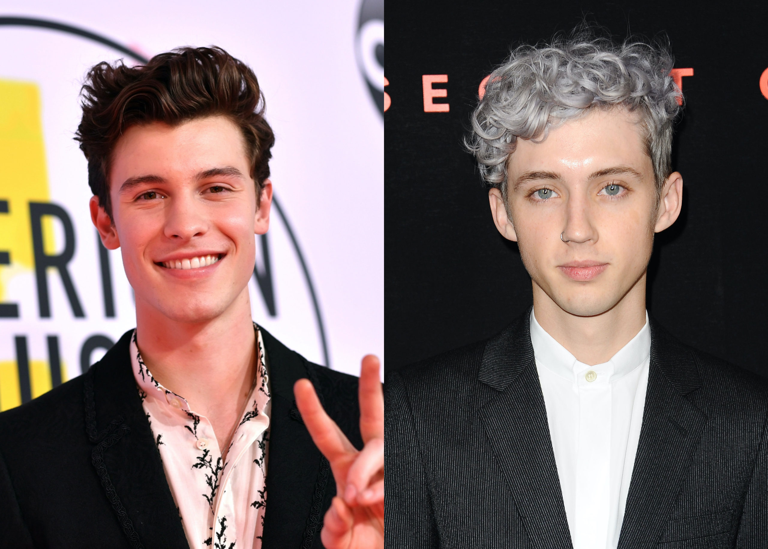 The big difference between Shawn Mendes and Troye Sivan in two thirsty tweets