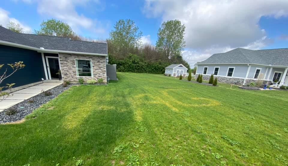 Proud same-sex couple turn 'terrible act of hate into something good' after cowardly homophobe burns 'f*g' into their front garden