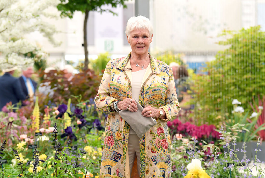 Judi Dench tears into her gender-flipped Cats role with sweary rant: 'It was like five foxes f**king on my back'