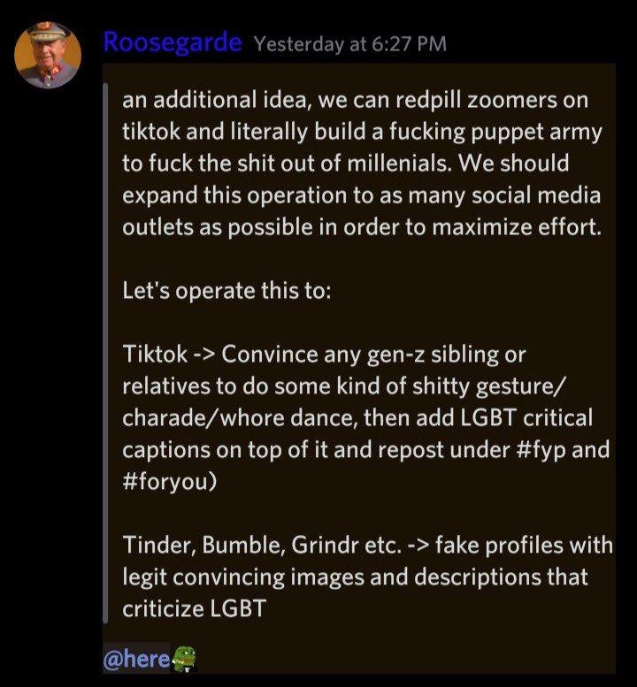 An example of the strategies members are aiming to mobilise. &quot;Redpilling&quot; is slang to mean showing the &quot;truth&quot;. (Discord)