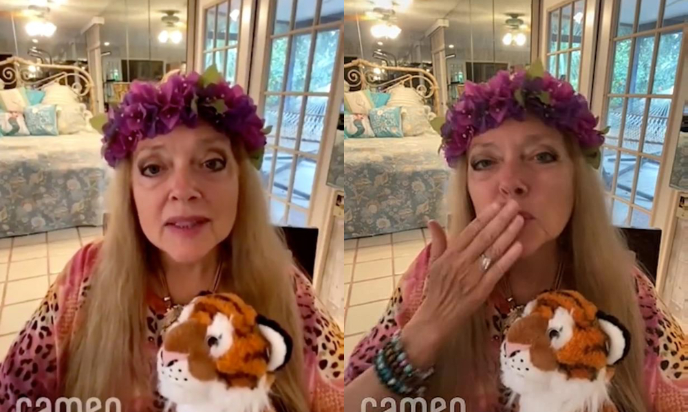 Carole Baskin 'felt horrible' about Rolf Harris prank: 'If he harmed a cat I would know who he is'