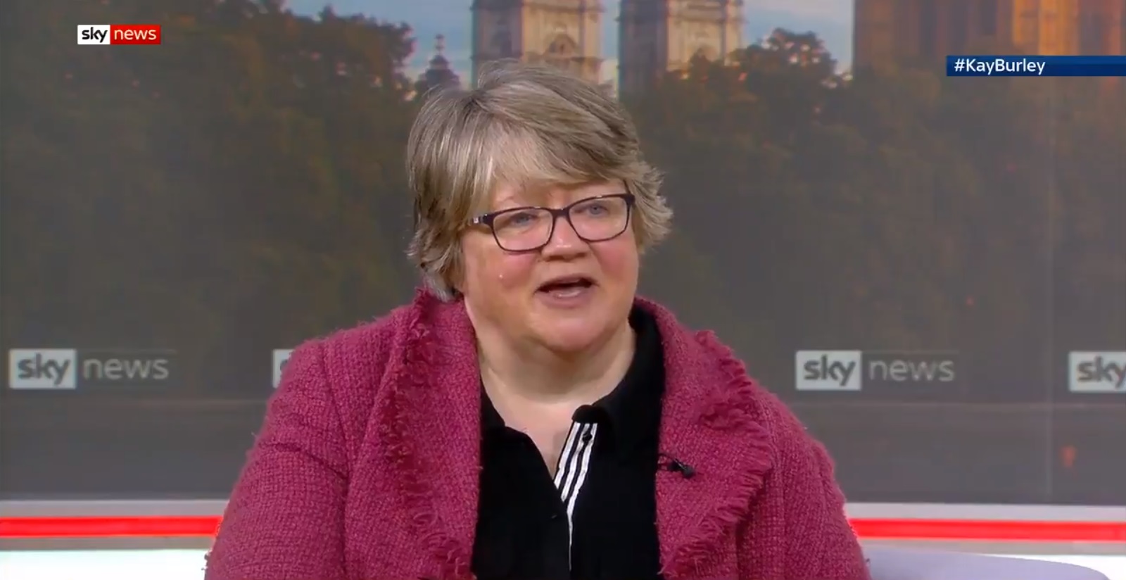 Tory minister Therese Coffey wants you to know she's still firmly against same-sex marriage