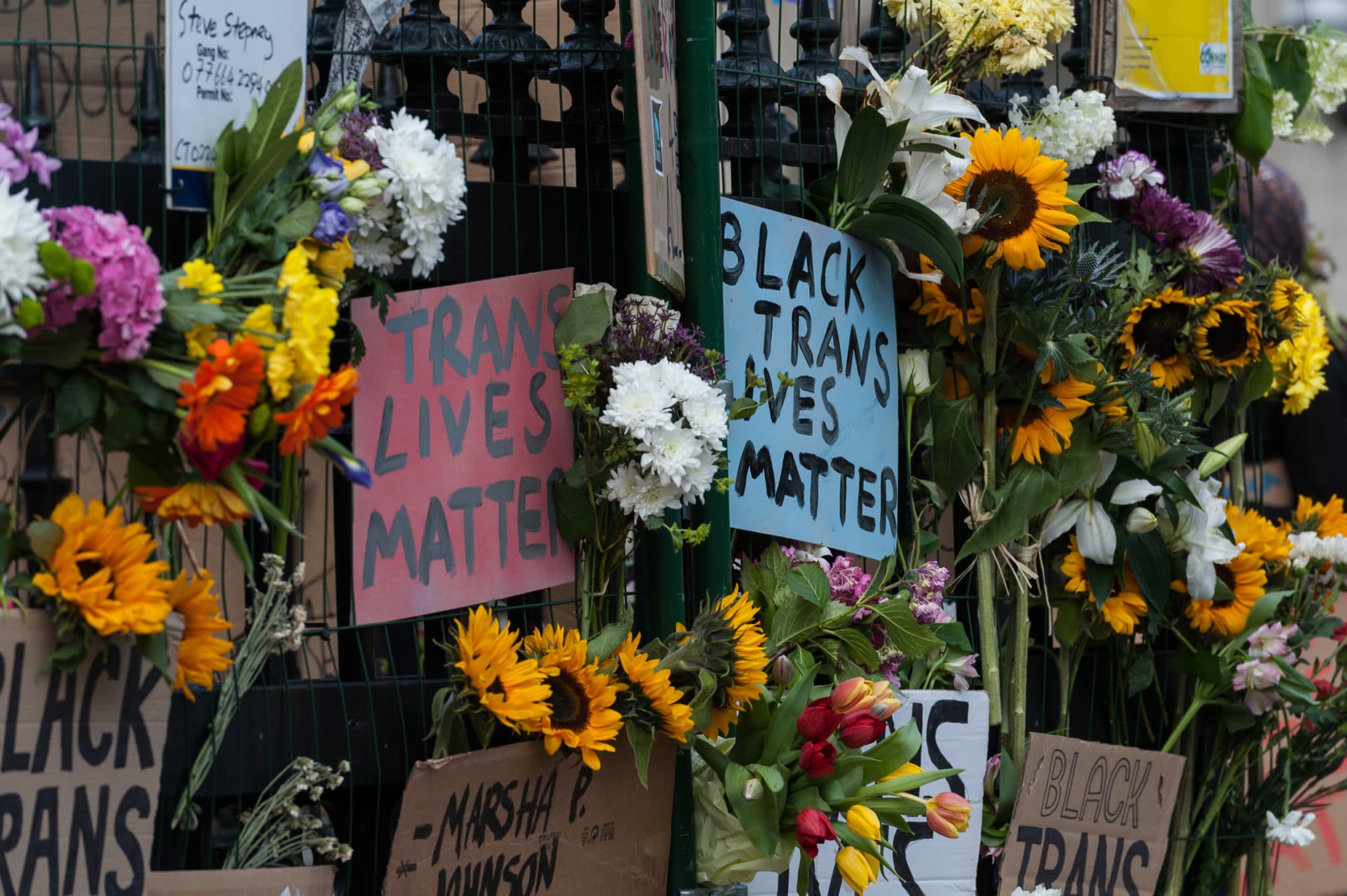 Trans refugee cruelly forced into homelessness after years of abuse from neighbour. It's a microcosm of transphobia in Britain