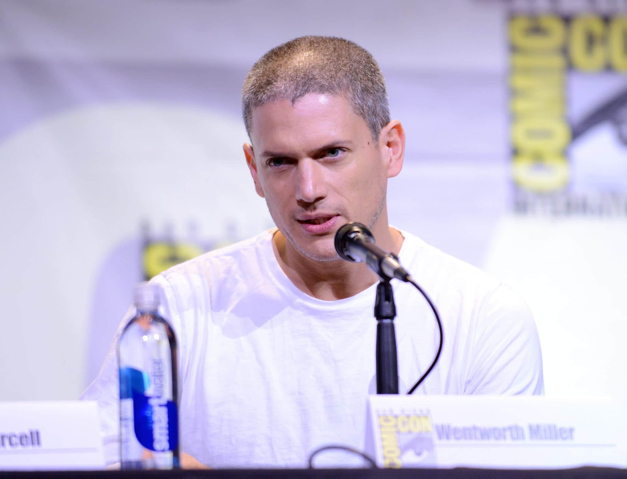 Wentworth Miller addresses Prison Break's failures in queer representation after quitting show