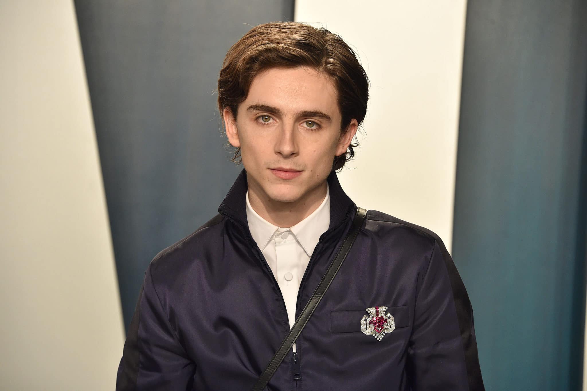 Timothée Chalamet tipped to reunite with Call Me by Your Name director for new 'cannibal love story'
