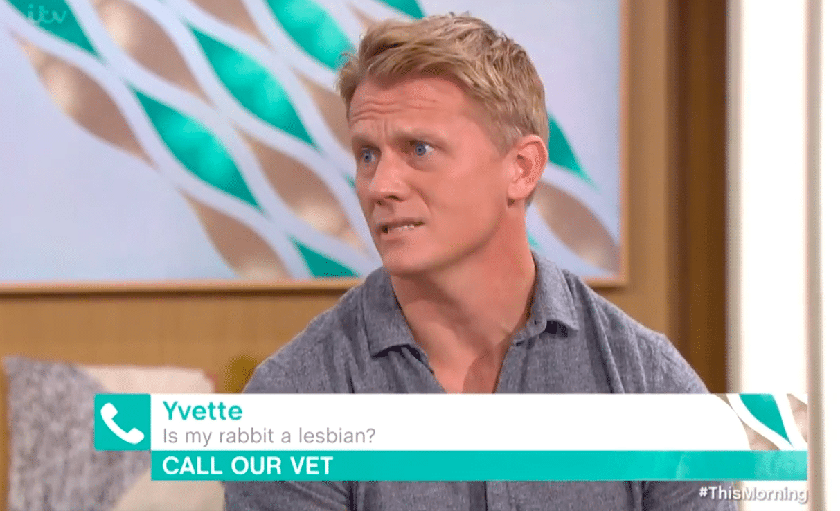 Frantic pet owner actually asks vet if her rabbit is a lesbian. He styles it out beautifully