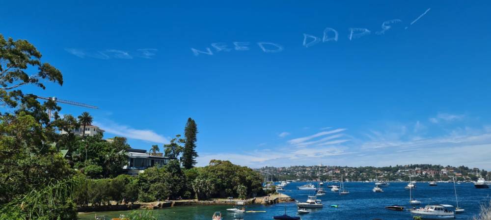 Controversial skywriter fills the skies with 'anti-lesbian' message: 'What the actual f**k?'
