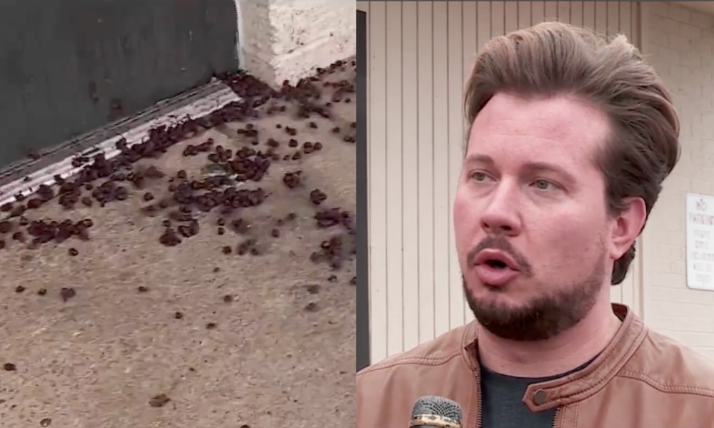 Beloved queer bar vandalised night after night in seriously bizarre and unsettling fashion