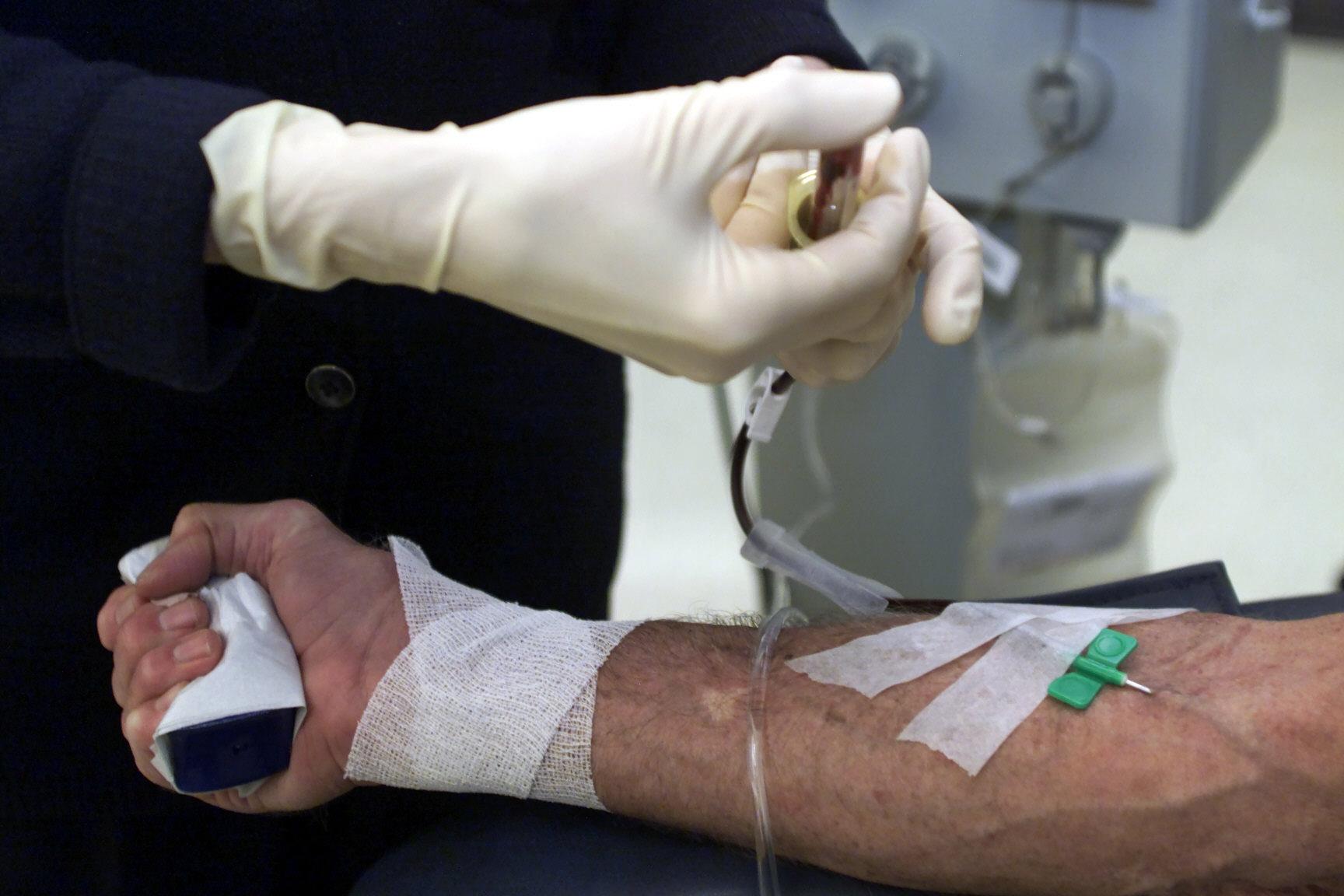 Blood donation rules for gay and bisexual men finally relaxed in Australia – but it's still not enough