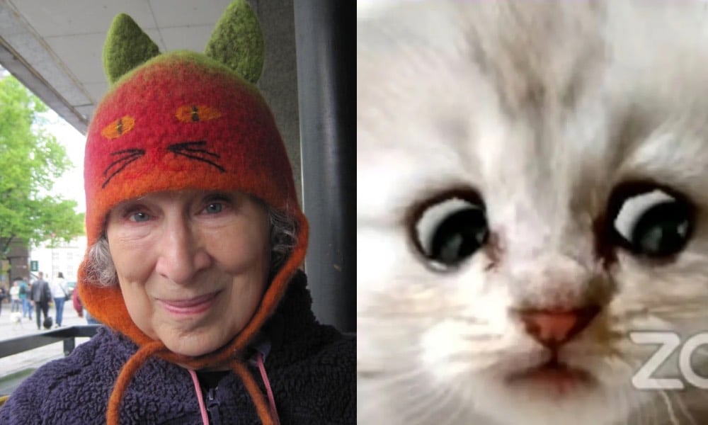 Margaret Atwood reveals she is, in fact, a cat wearing a human filter after surreal viral Zoom call