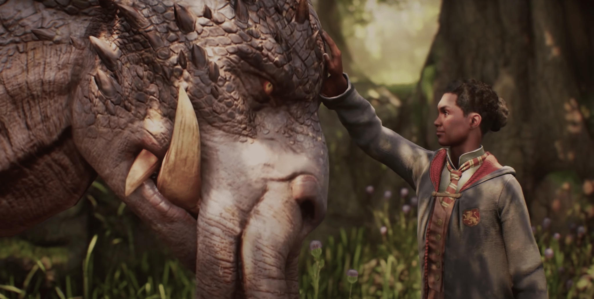 Harry Potter video game will allow trans witches and wizards – but fans say it's too little, too late