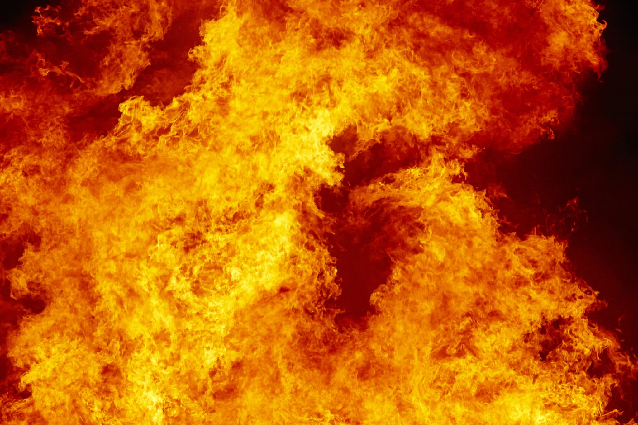 Latvian president condemns homophobe who set two gay men on fire