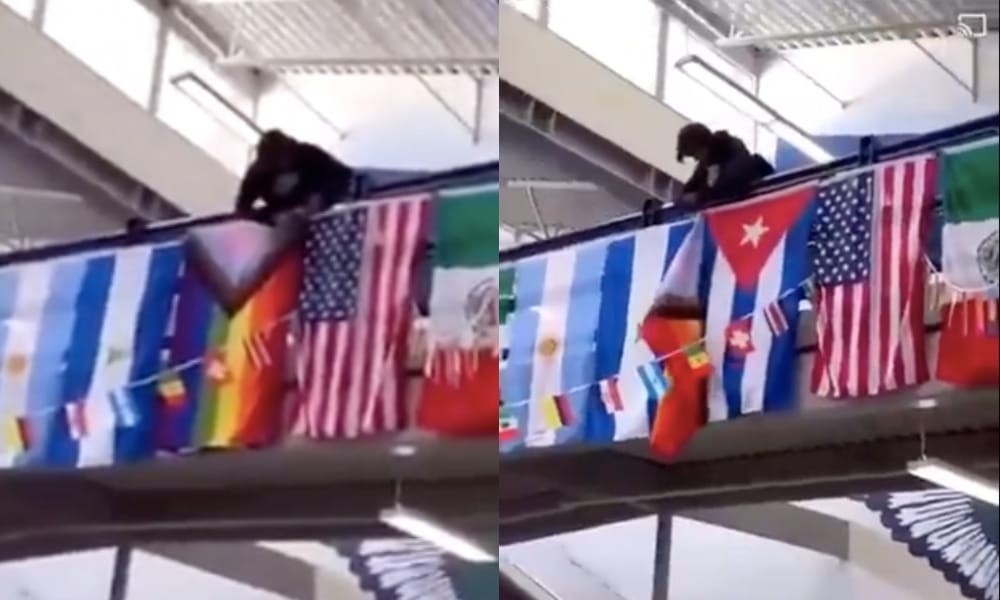 'Heartbreaking' bully destroying school Pride flag to cheers prompts defiant response from students