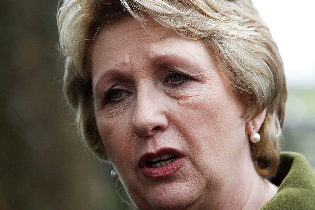 Former Irish president Mary McAleese condemns Vatican 'idiots' for 'deliberately hurting' LGBT+ people