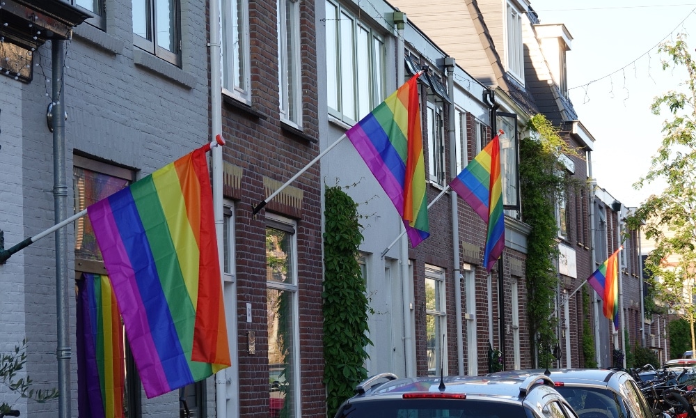 Town flies hundreds of Pride flags in defiance after homophobic thugs terrorise neighbourhood