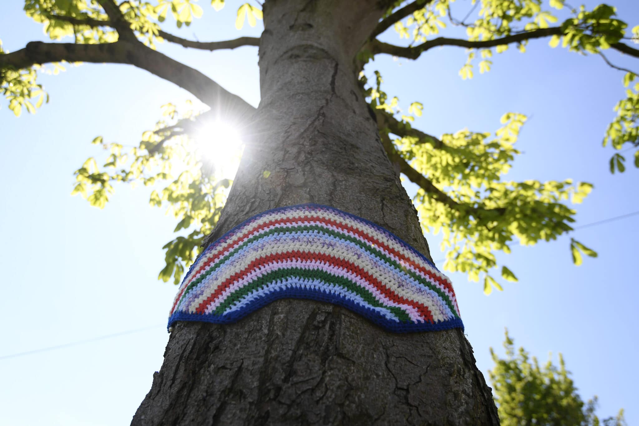 Male trees aren’t making hayfever worse. Trees are actually 'super queer', scientist explains