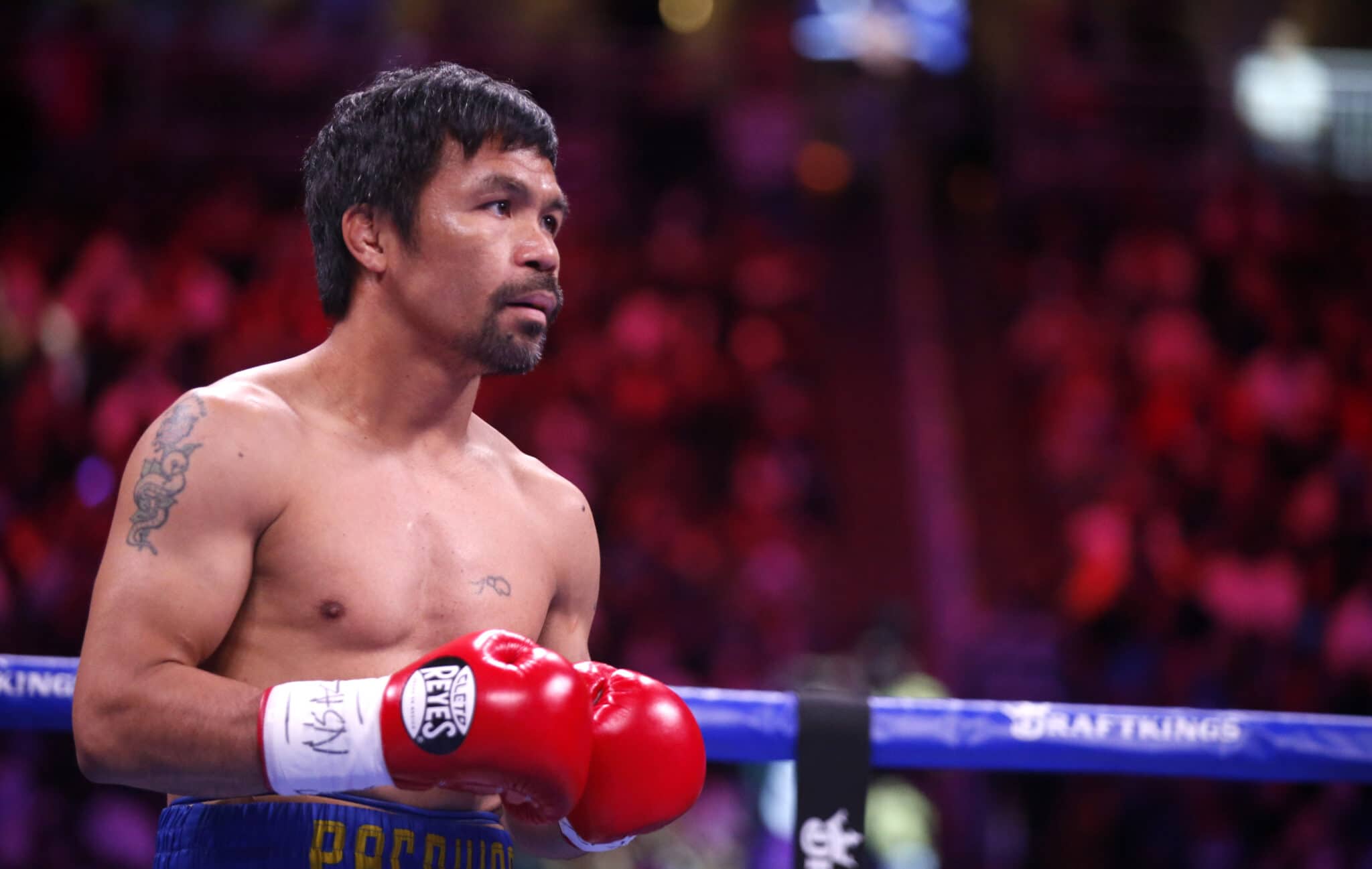 Boxer Manny Pacquaio, who once called gay people 'animals', to run for president of Philippines