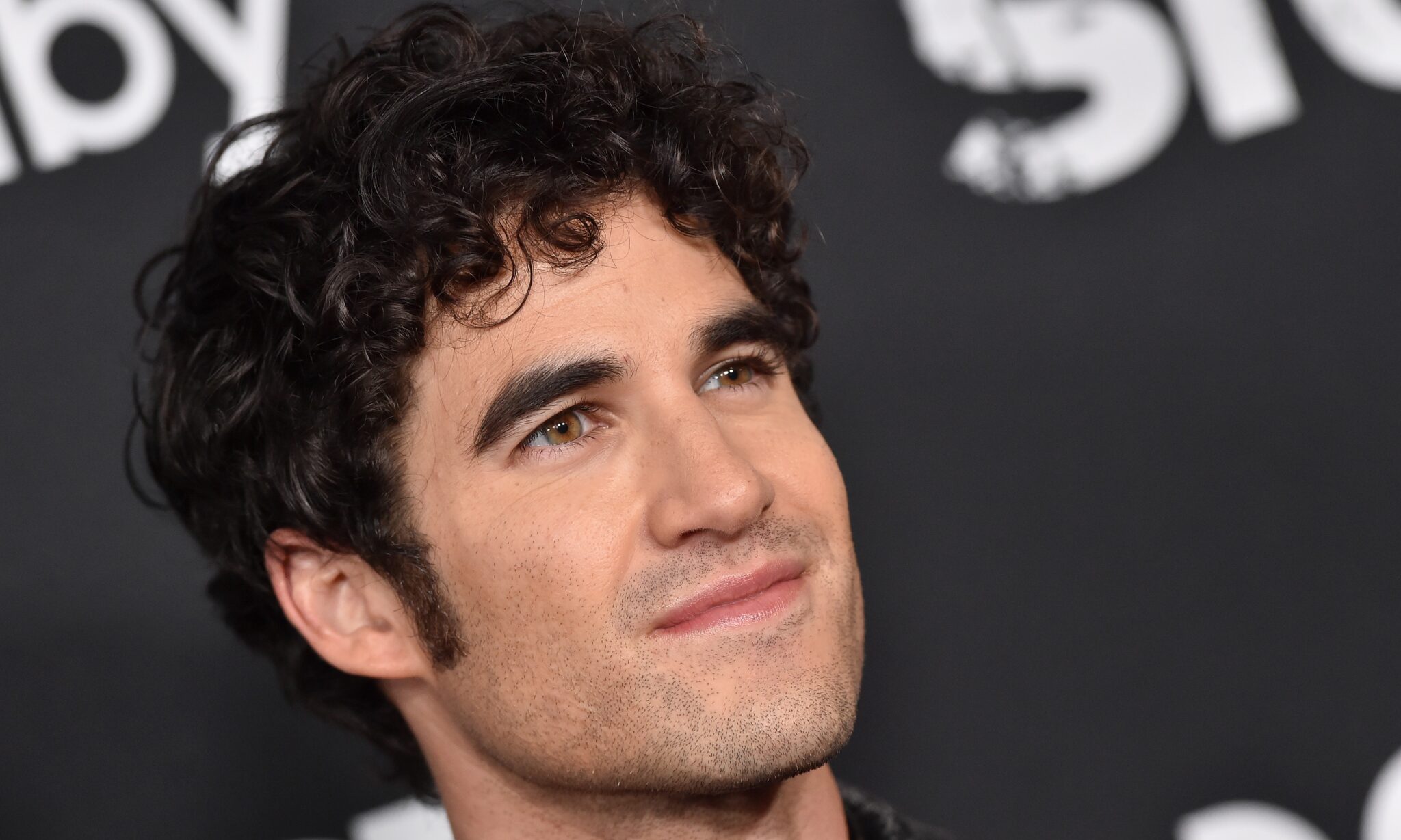 Darren Criss says he's been 's**t on' for wading into straight actors playing gay roles debate