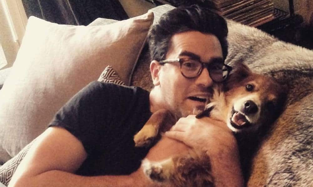 Dan Levy announces heartbreaking death of his beloved dog: 'I love you, my sweet boy'