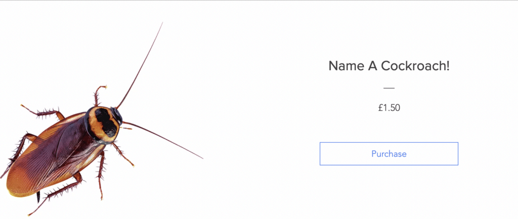 Hemsley Conservation Centre brings back &quot;name a cockroach after your ex&quot; for Valentine