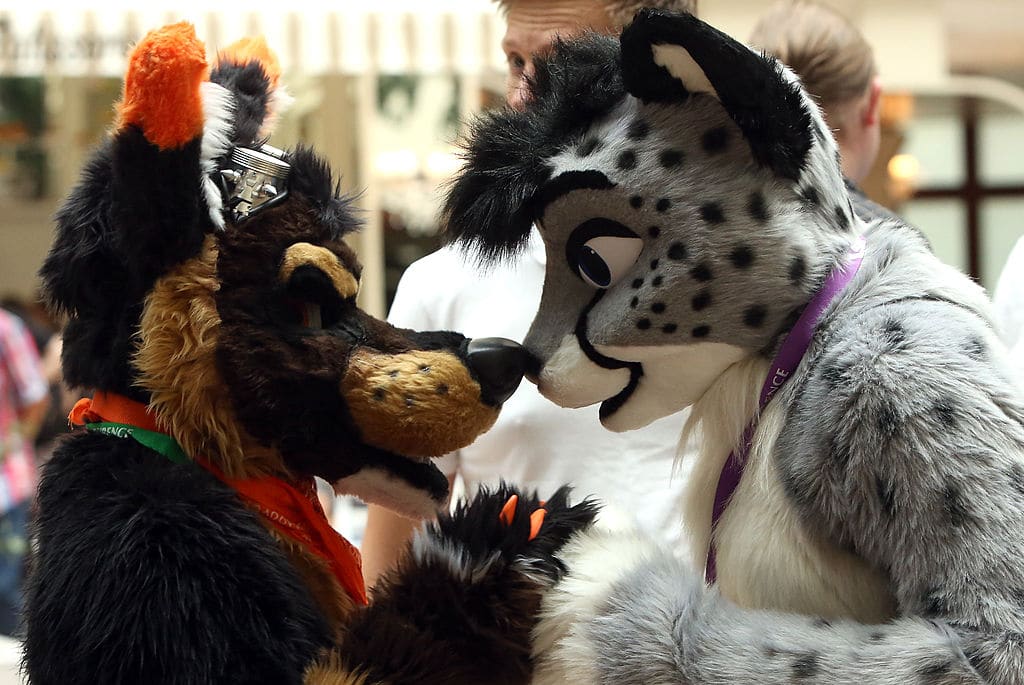Generous furries help save at-risk libraries cut off by mayor over gay books