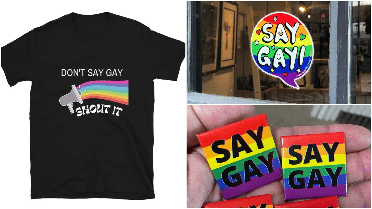 11 'Say Gay' products you can buy to fight back against Florida's hateful bill
